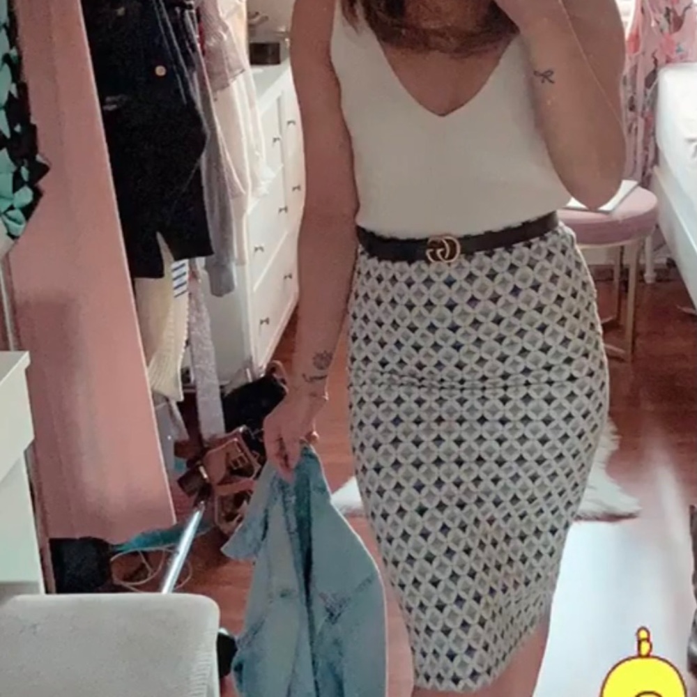 Zara Skirt